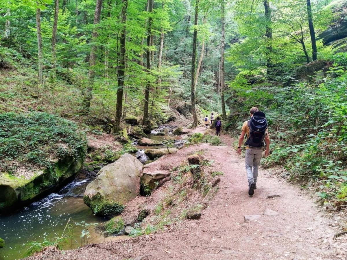 Nice Tent Lodge On A Campsite, Bordering The Forest, Luxembourg At 27 Km Medernach Bagian luar foto